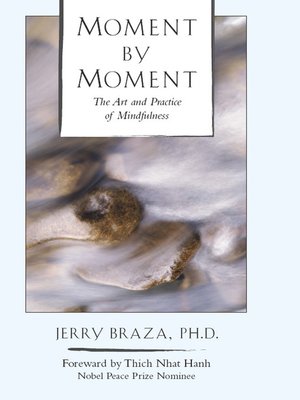 cover image of Moment by Moment